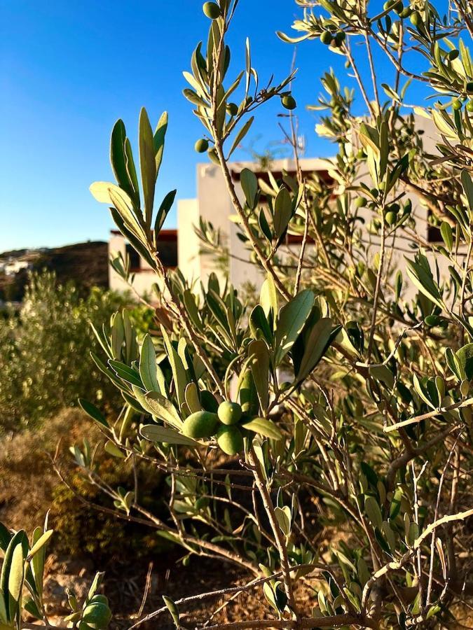 Litois Houses Patmos Sapsila 外观 照片